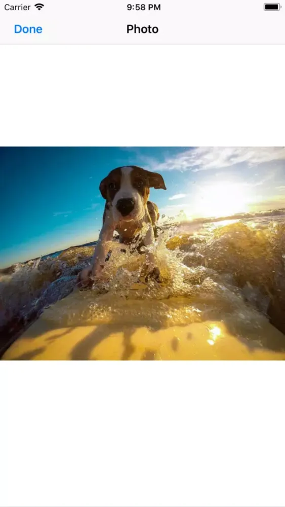 Captures d'écran de Water Dog Sticker Pack