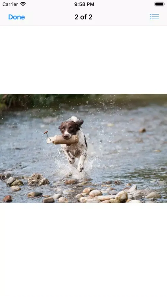 Captures d'écran de Water Dog Sticker Pack