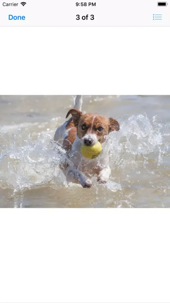 Captures d'écran de Water Dog Sticker Pack