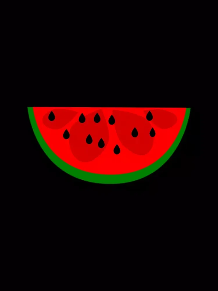 Wonderful Watermelon Stickers iPad  Screenshots
