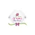 باقة ورد Flower Bouquet