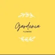 Gardenia Flowers