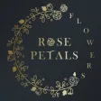 Rose Petals Flowers