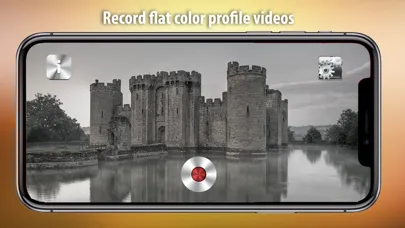 Flat Color Camera স্ক্রিনশট