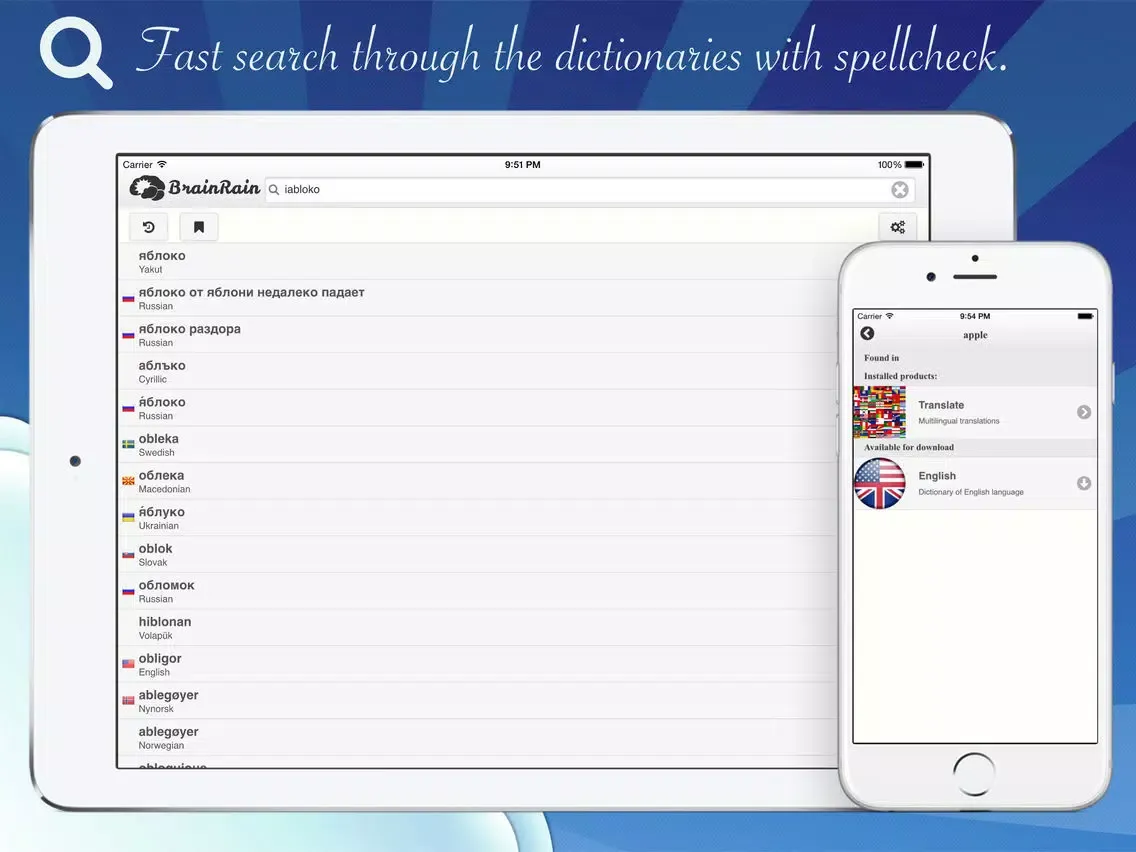 BrainRain multilingual dictionaries & thesaurus Offline iPad  Screenshots
