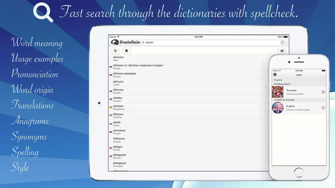 BrainRain multilingual dictionaries & thesaurus Offline Screenshots