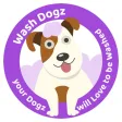 Washdogz