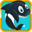 Sea Whale Splash Sea Whale Splash