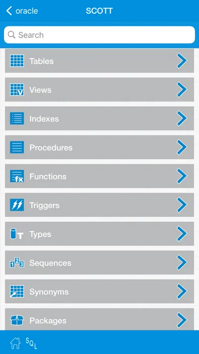 Tangkapan layar iOracleProg - Oracle Client
