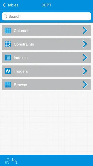 Tangkapan layar iOracleProg - Oracle Client