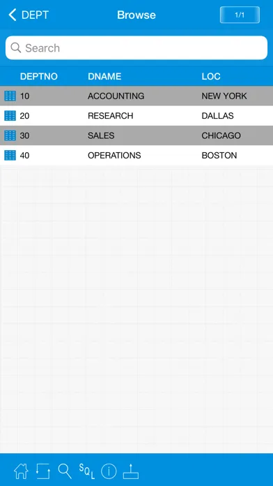 Tangkapan layar iOracleProg - Oracle Client
