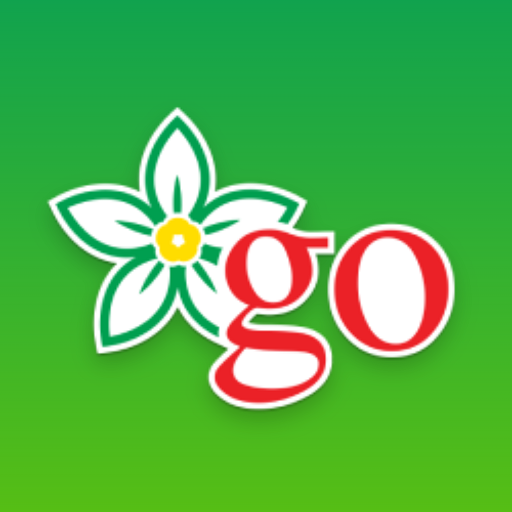 GO Connect