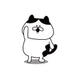 Playing KABUKI of a cat