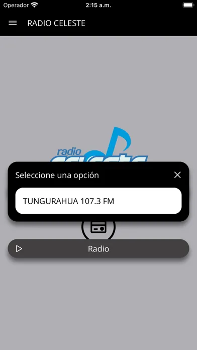 Radio Celeste FM应用截图