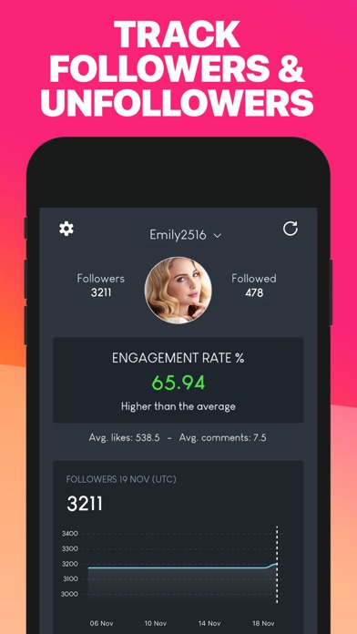 Tangkapan layar IG Analyzer Profile Tracker