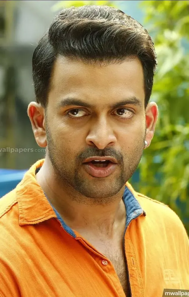Prithviraj Wallpapers,puzzle Screenshots