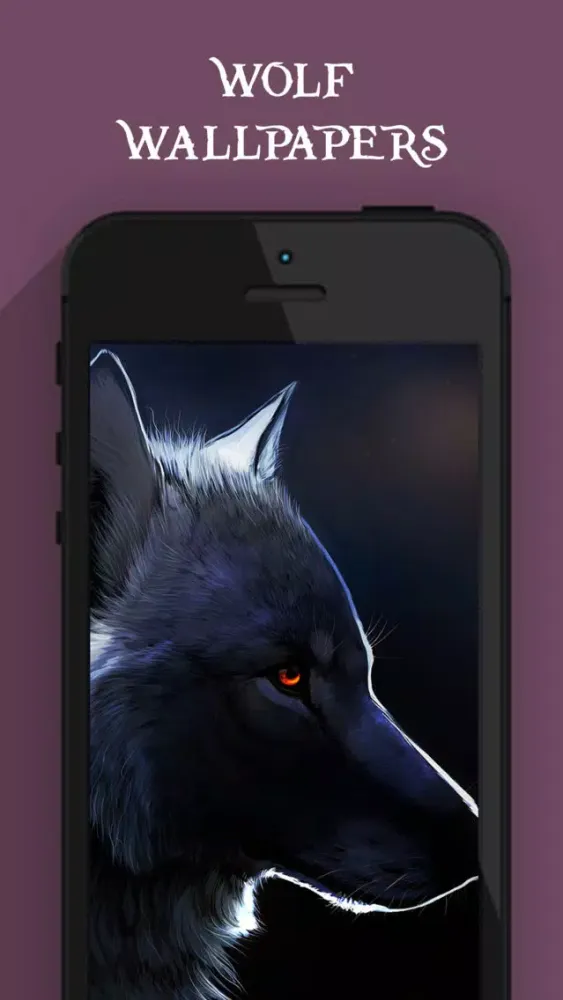 Cool Wolf Wallpapers HD Screenshots
