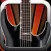 Electric Guitar PRO™