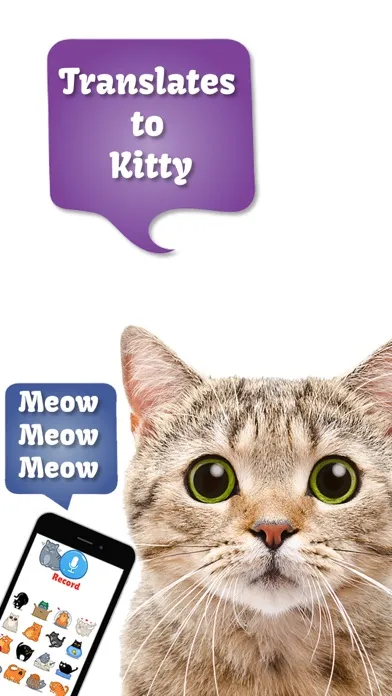 Cat Translate: talk to Kitten स्क्रीनशॉट