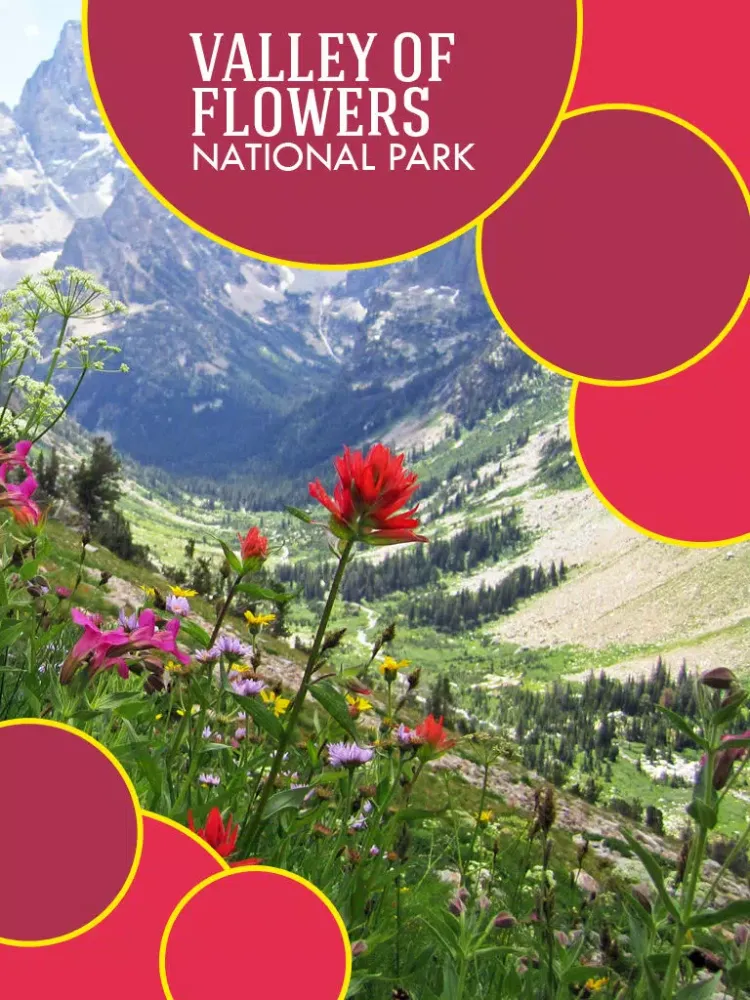 Valley of Flowers National Park iPad  Screenshots