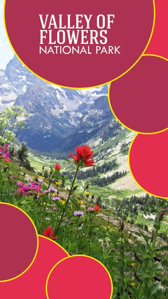 Valley of Flowers National Park Screenshots