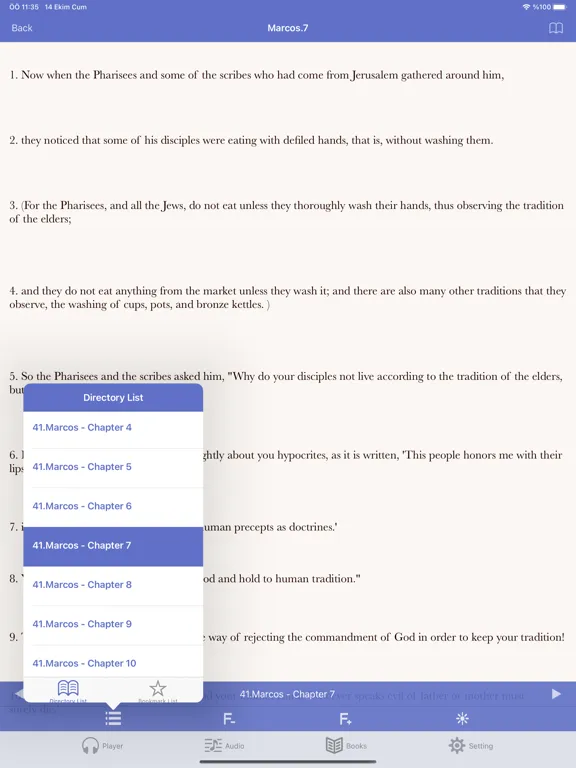 Скриншоты NRSV Bible (Audio & Book) iPad 