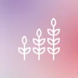 Mama Healing Hub Mama Healing Hub