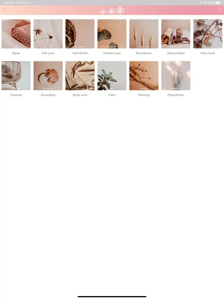 Mama Healing Hub iPad 应用截图