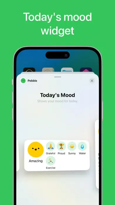 Pebble - Daily Mood Tracker Ekran Görüntüleri