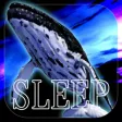 眠れない人のゲーム 夢鯨 擬似VR