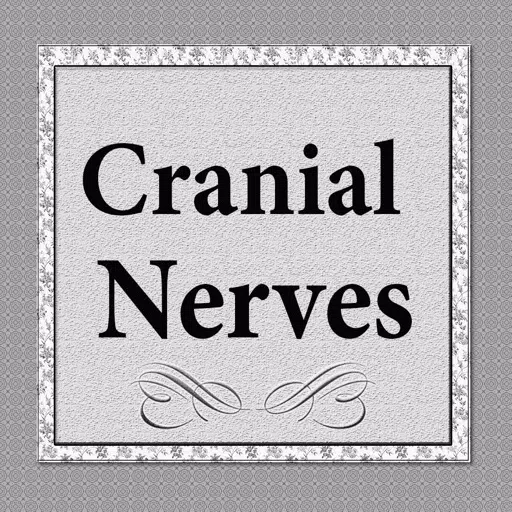 Cranial Nerves Plus Cranial Nerves Plus