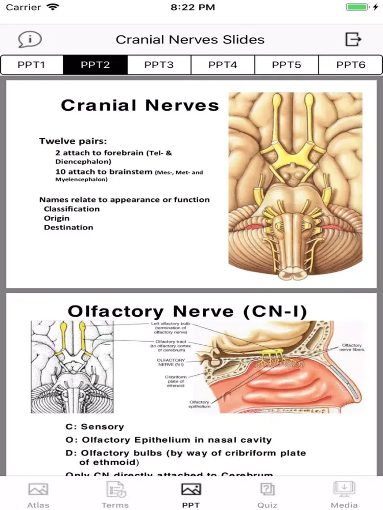 Cranial Nerves Plus iPad  Ekran Görüntüleri