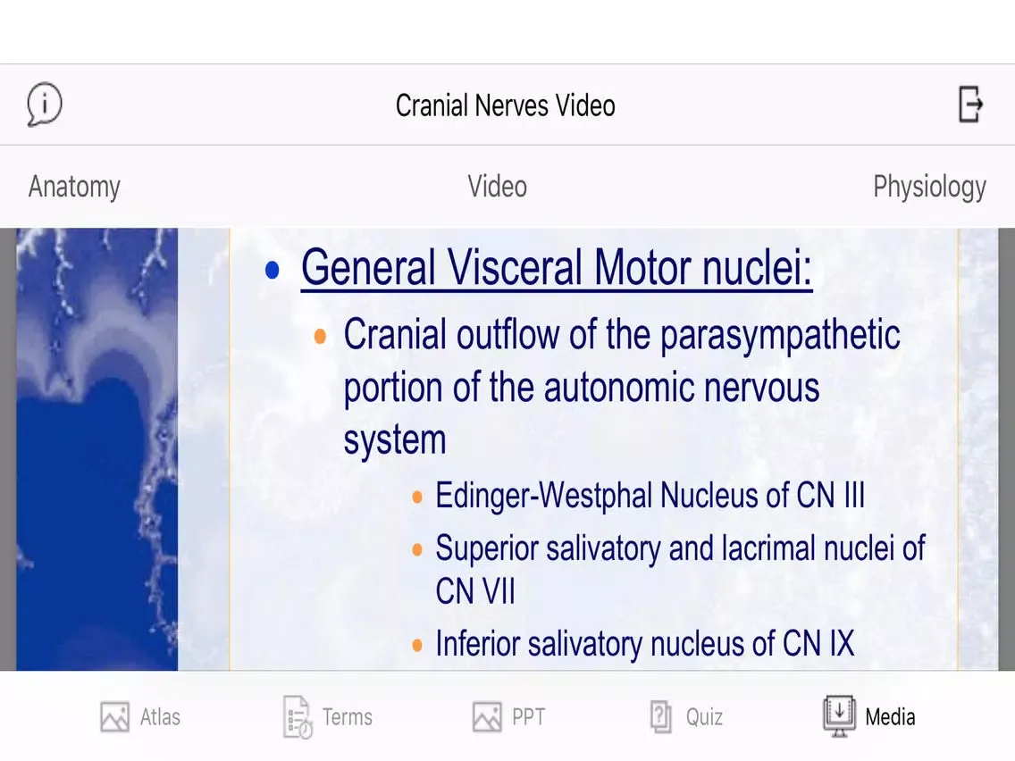 Cranial Nerves Plus iPad  Ekran Görüntüleri