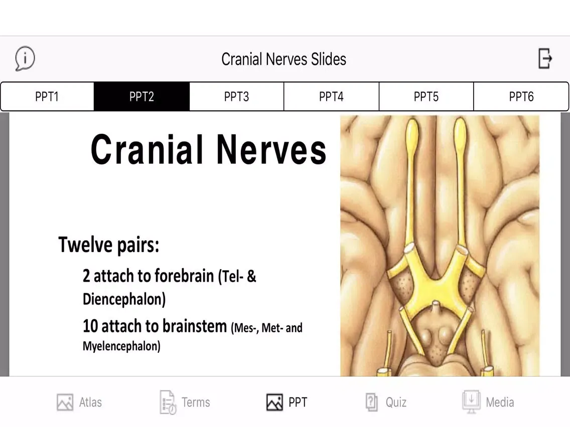 Cranial Nerves Plus iPad  Ekran Görüntüleri