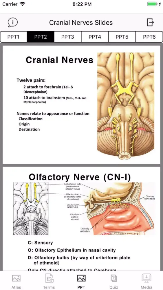 Cranial Nerves Plus Ekran Görüntüleri