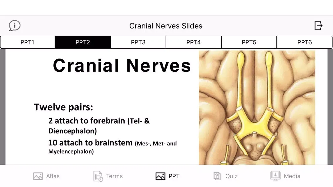 Cranial Nerves Plus Ekran Görüntüleri