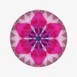 Moon Mandalas