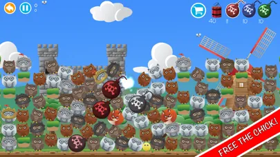 Game of Birds Screenshots