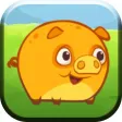 Mango Piggy Mango Piggy