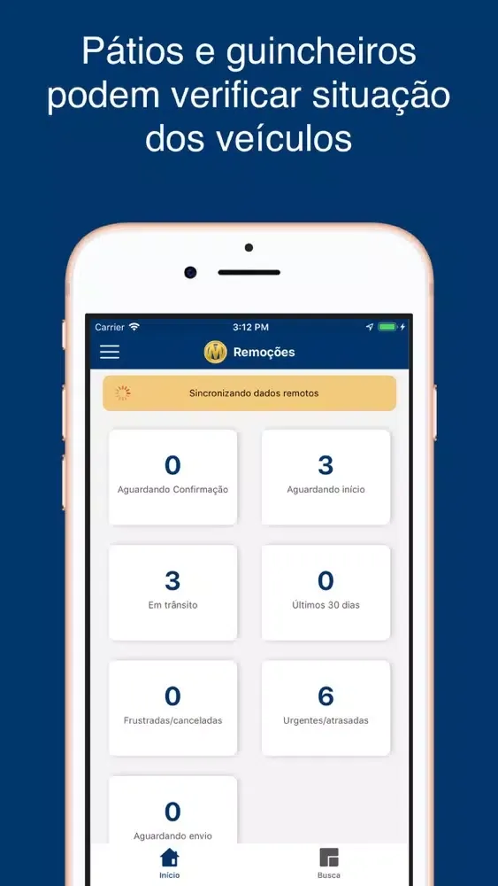 Manheim Remoções স্ক্রিনশট