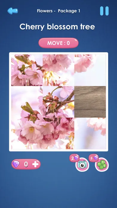 صور Slide Picture : Jigsaw Puzzle