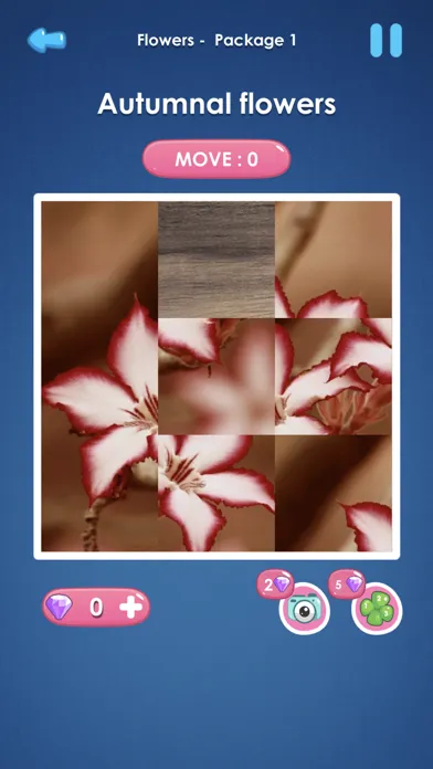 صور Slide Picture : Jigsaw Puzzle