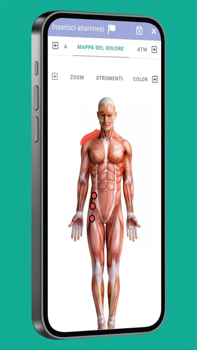 Ảnh chụp màn hình của OsteoEasy