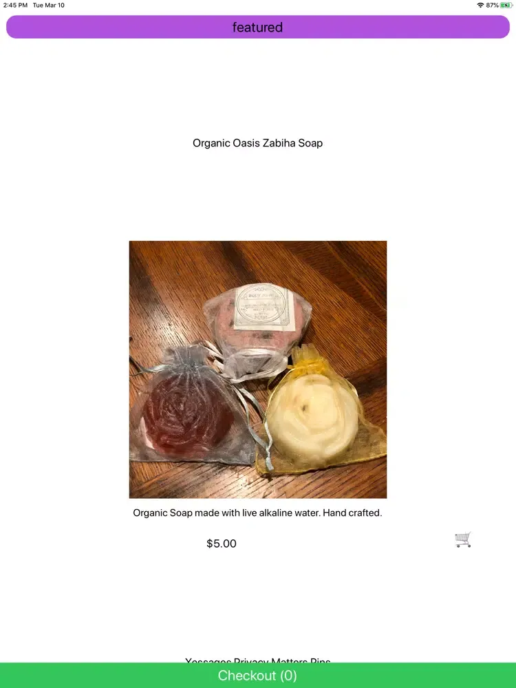 صور The Privacy Matters Store iPad 
