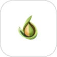 Avocado Expense Tracker