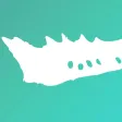 Crota Timer Crota Timer