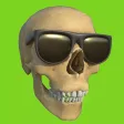 The Bone Zone The Bone Zone
