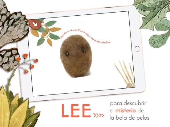 Bola de pelos iPad  स्क्रीनशॉट