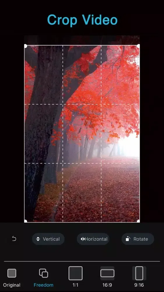 Screenshot di Video Editor · Edit Videos