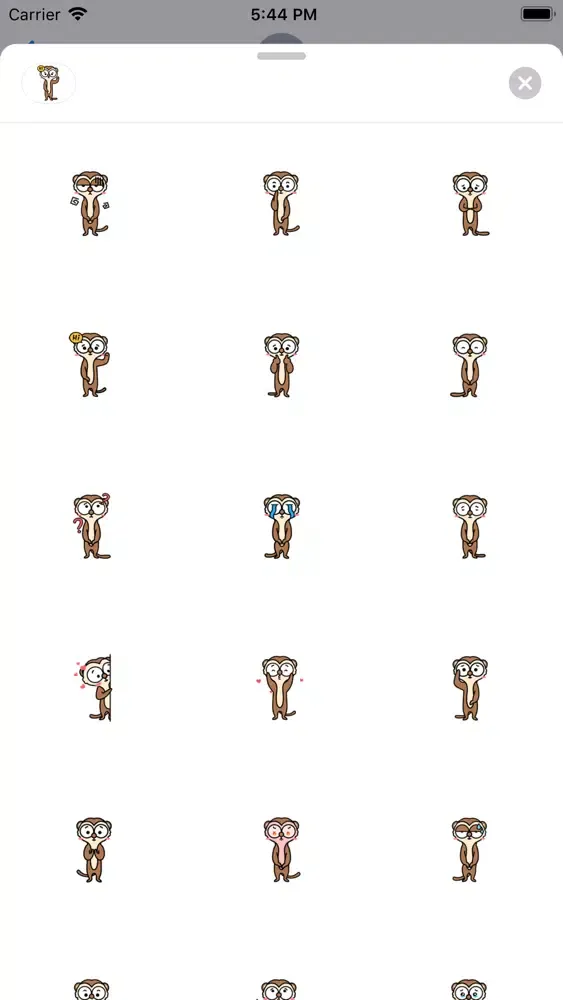 The life of Mongoose Screenshots